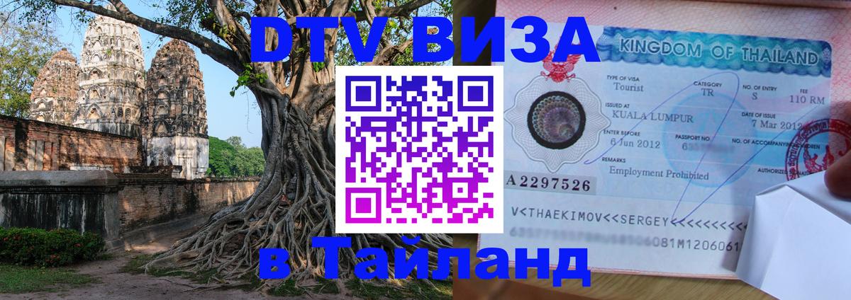 Оформление DTV визы под ключ: стоимость и тарифы, только загранпаспорт - 